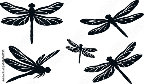 Konstfotografi Collection of black dragonfly silhouettes