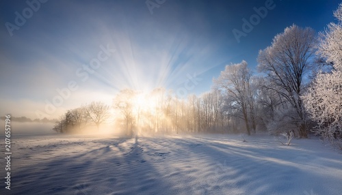 Winter Morning Landscape With Snow Covered Ground Fog And Sun Rays Through Frosty Trees