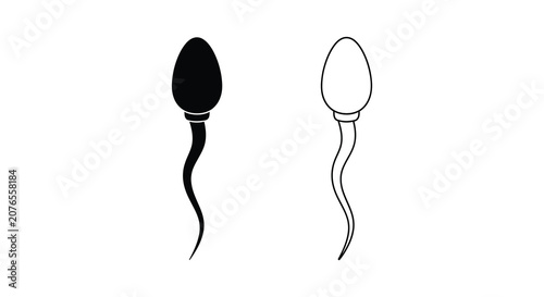 Bild auf Leinwand Sperm Cell Silhouettes On White Background Silhouette