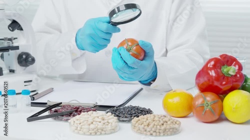 Scientist use magnifying glass to check physical occur from chemical on fruit and vegetable residues in laboratory. inspect the concentration of chemical residues, standard, find prohibited substances