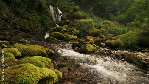 Scenic moss-covered stream and waterfall in a green forest