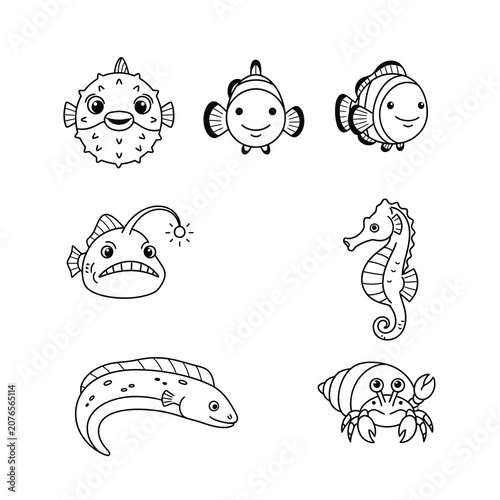 Black and white sea creatures illustrations