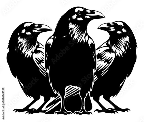 Foto Raven trio standing together in high contrast graphic style