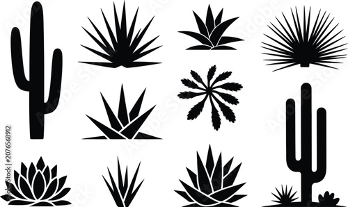 Fotografie Desert plant and cactus collection silhouettes with silhouette succulent botanic