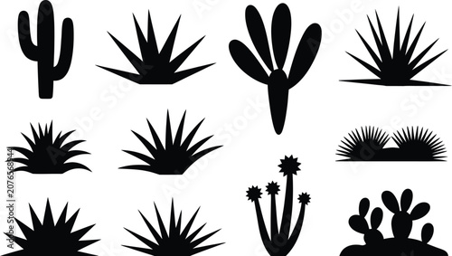 Konstfotografi Set of various desert cacti and succulent silhouettes with succulent silhouette