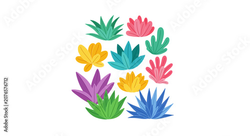 Colorful Succulent Plants in Circle.