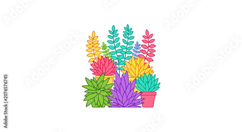 Colorful Succulent Plants in Pots.