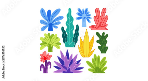Colorful Succulent Plants Variety.