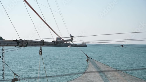 gabbiamo appoggiato sull'asta in legno di un antico trabucco sulle coste del gargano in Puglia