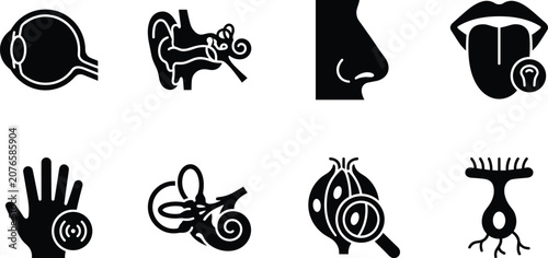 Принти на полотні Human senses icon set with eye ear nose tongue hand and sensory perception symbo