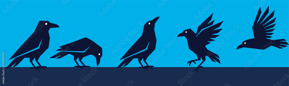 Fototapeta premium Illustration of a black crow in various poses, including standing, pecking, looking up, and flying, against a blue background.