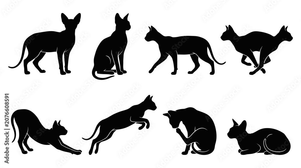 Fototapeta premium Elegant collection of various cat silhouettes showcasing different feline poses including jumping, running, sitting, and stretching in a minimalist art style. isolated on white background PNG