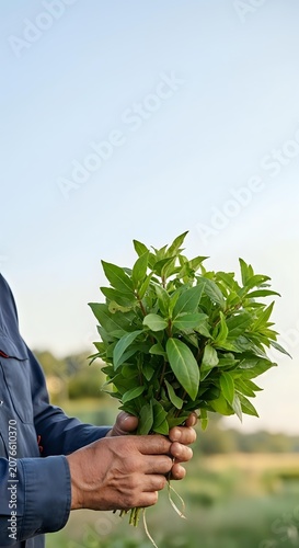 Farmer holding fresh green seedling with roots in agricultural field during daytime, suitable for farming, gardening, and sustainability concepts.