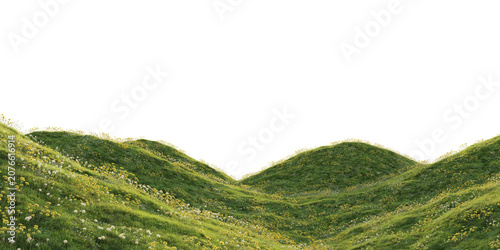 Photos Wildflower meadow terrain with dandelions isolated on transparent background
