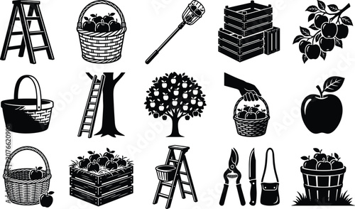 Apple harvest orchard and fruit picking black vector silhouette icons collection set isolated on white background
