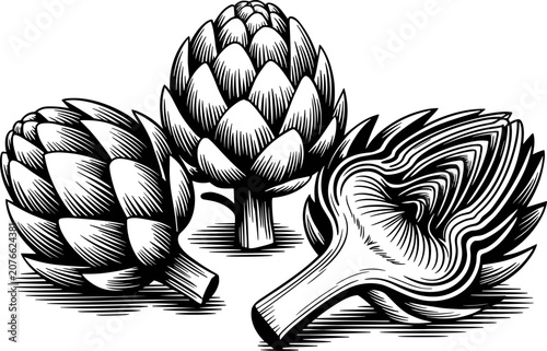 Vintage engraving style illustration of fresh artichokes, including whole and halved artichoke vegetable hearts, isolated on a white background.