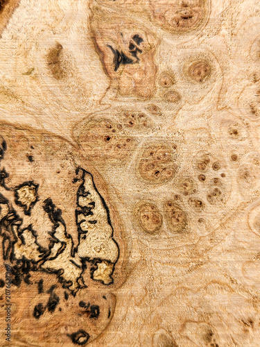 Close-up of swirling wood grain with dark inclusions and burl patterns, background, texture