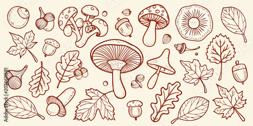 Schilderij op canvas Mushroom and oak leaf illustration hand drawn botanical style on beige backgroun