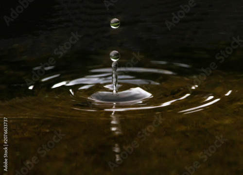 Fotografie A Single Raindrop Splashing in a Pond