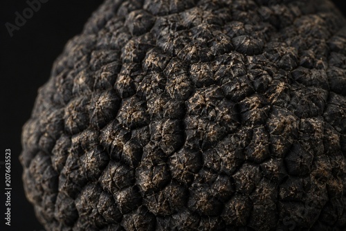 Extreme close-up of a fresh black truffle's textured surface.