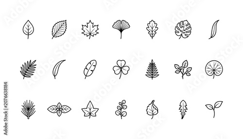 Foto Set of black line icons featuring various natural forest leaves and botanical pl
