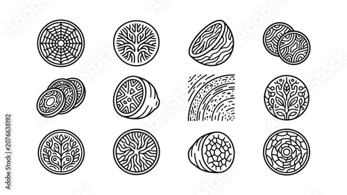 Abstract Organic Line Art Icons Set Natural Motifs Circles