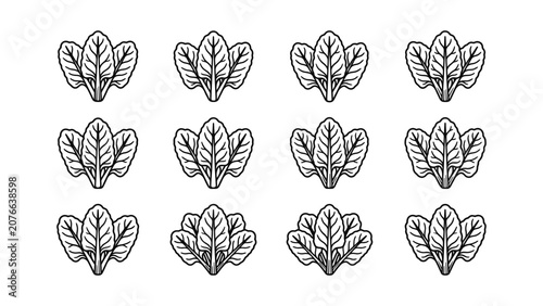 Spinach Leaf Icons Set Healthy Food Vector Graphics