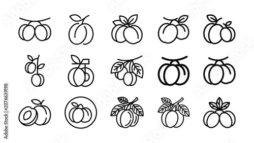 Plum Fruit Icons Set Simple Outline Vector Illustration