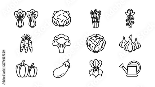 Healthy Vegetable Icons Set Fresh Produce Line Art Collection Healthy Eating Food Icons