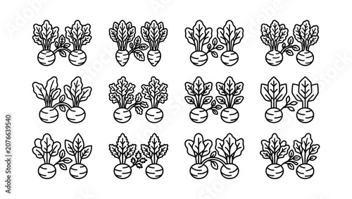 Beetroot Vegetable Icons Set Outline Style Healthy Food