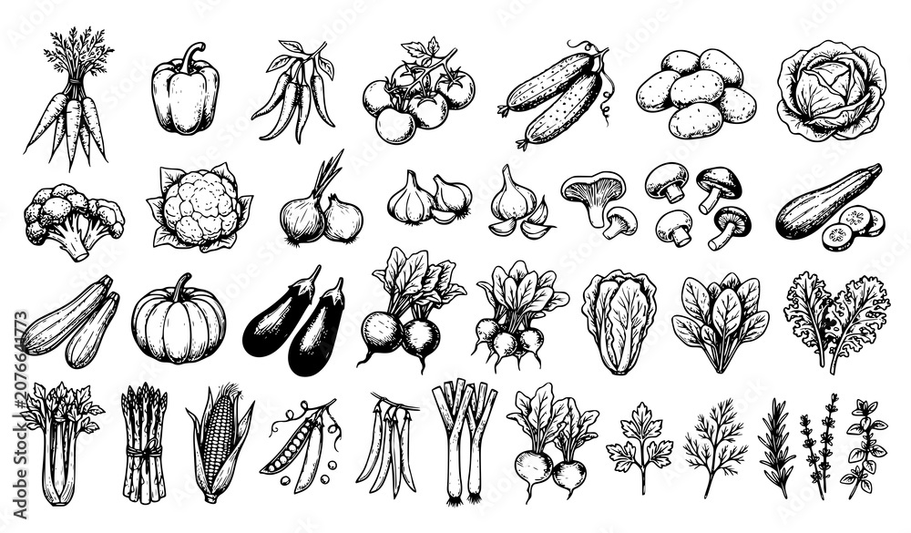 Fototapeta premium Black Hand Drawn Garden Vegetable Sketch Doodle Set Organic Food Vector Collection