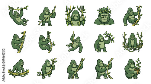 Photography Gorillas swinging and climbing on jungle vines.