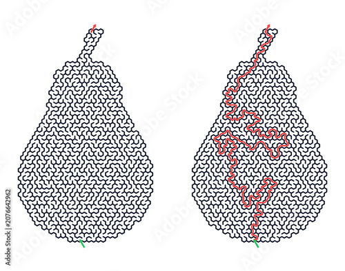 Εκτύπωση καμβά Pear-shaped maze design with pathways highlighted in red