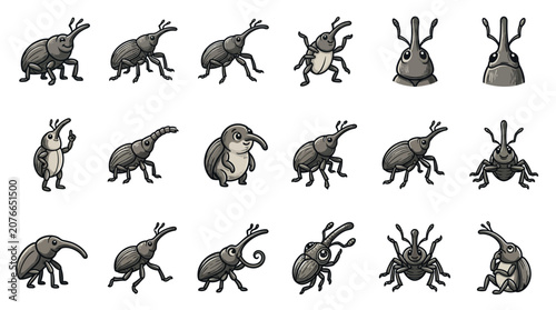 Photos Grey weevil insect character sheet with various poses