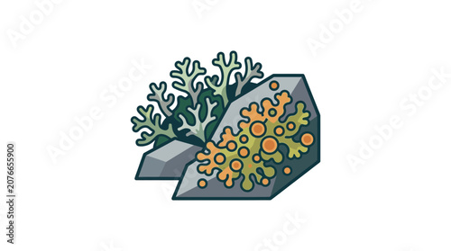 Lichen growing on rocks, detailed illustration, nature art, botanical elements, close-up
