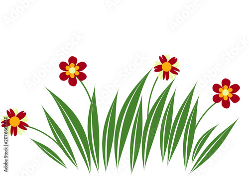 Photos green grass on white background