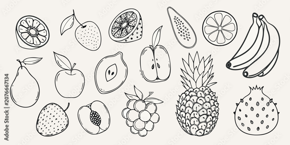 Fototapeta premium Collection Of Fruit Sketches Black And White Line Art