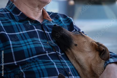 Tableau sur toile Dog Resting Head on Owner While Seeking Comfort and Affection