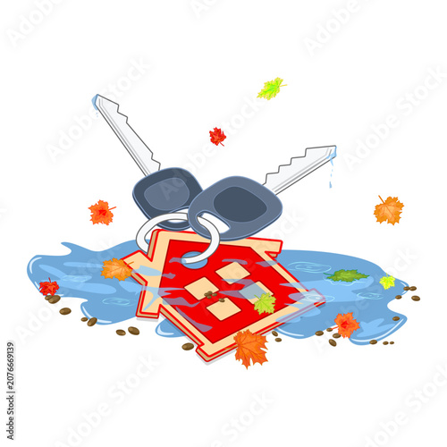 Photos Lost house keys in water puddle