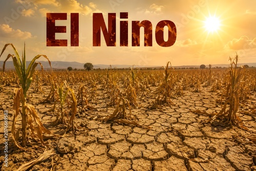 Image of crops in stress due to hot weather due to El Nino.