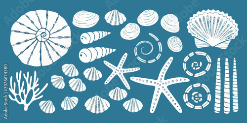 Seashells And Starfish White Line Art Illustration On Teal Background