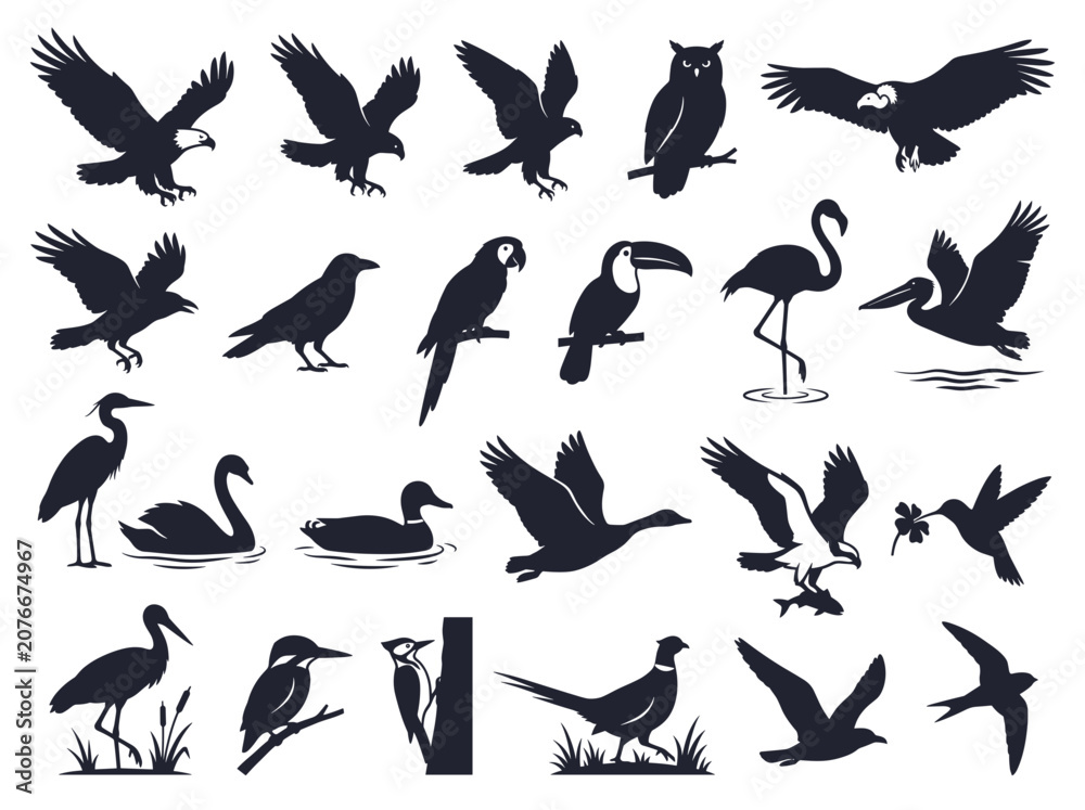 Fototapeta premium Diverse Bird Silhouettes Collection: Wildlife, Flight, Nature Icons