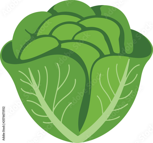 Farm Fresh Leafy Vegetable For Healthy Nutrition