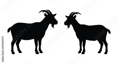 Fotografie Two Goats Facing Each Other Black Silhouette