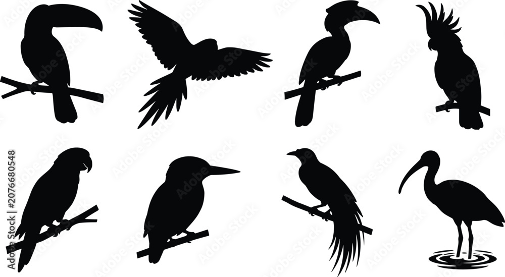 Fototapeta premium Tropical Bird Silhouette Collection with Toucan Parrot Hornbill and Heron Vector Set
