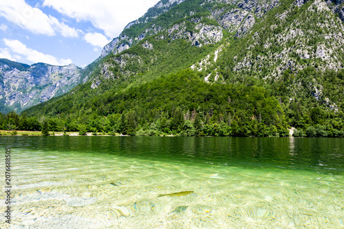 Fotografía Transparent emerald waters of Lake Bohinj revealing underwater stones and fish b