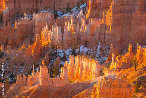Bryce
