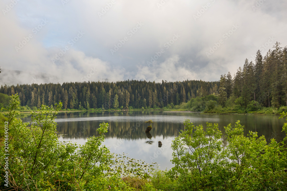 Obraz premium Vancouver island