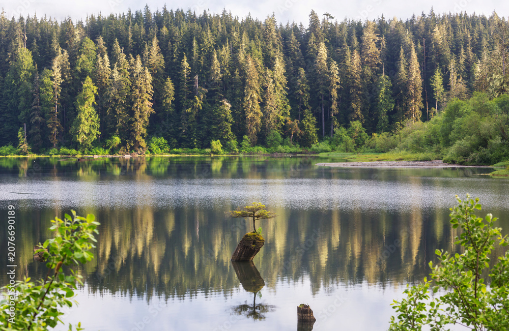 Obraz premium Vancouver island
