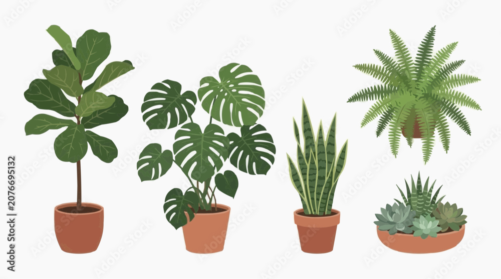 Fototapeta premium Collection of popular houseplants in terracotta pots including fiddle leaf fig monstera snake plant fern and succulents